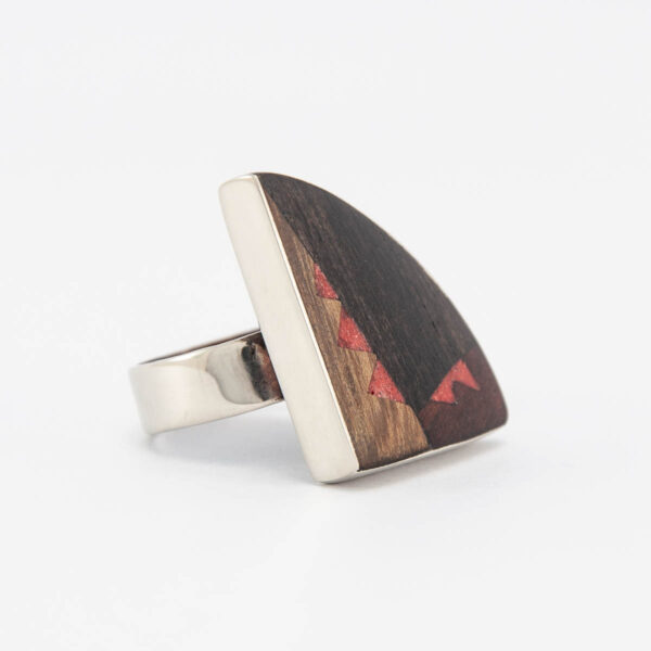 anillo TINKU