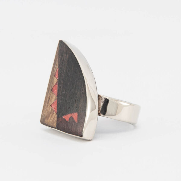 anillo TINKU
