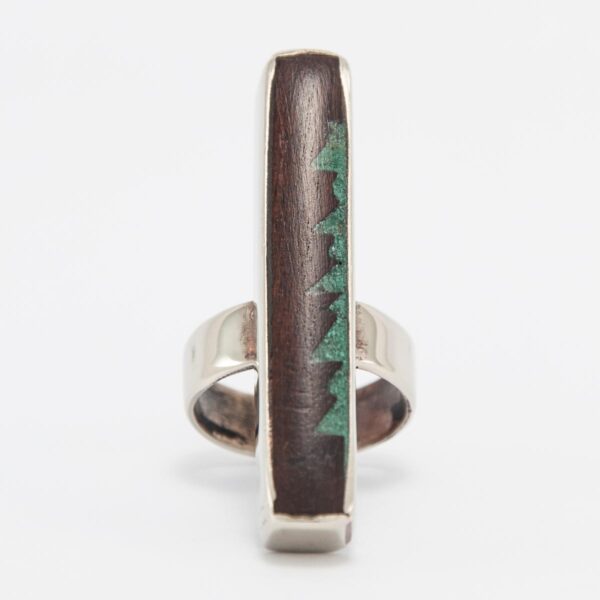 03-3542 anillo PINAL #1