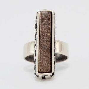 anillo PINAL #2