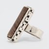 anillo PINAL #2