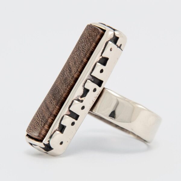 anillo PINAL #2