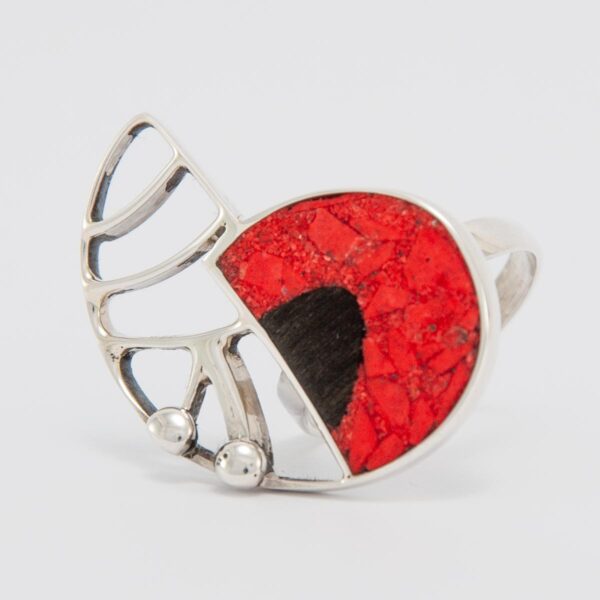 anillo AMON