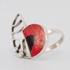 anillo AMON