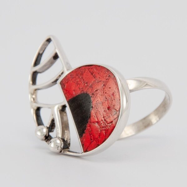 anillo AMON