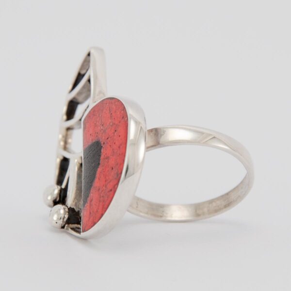 anillo AMON