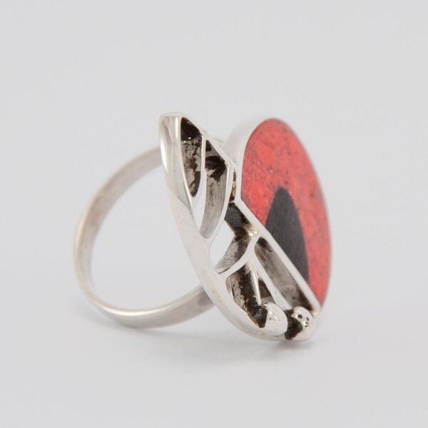 anillo AMON