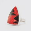 anillo IXA