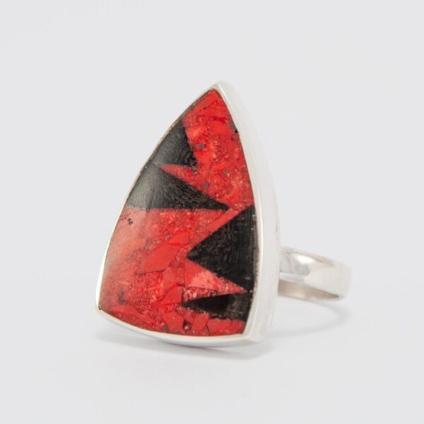 anillo IXA