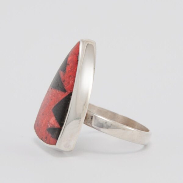 anillo IXA