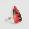 anillo IXA