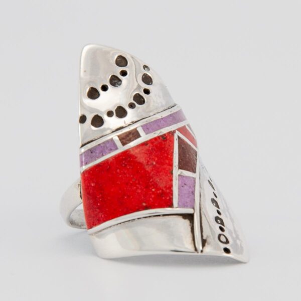 anillo AKITA #1
